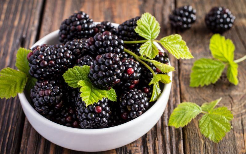 How to Tell if Blackberries are Bad